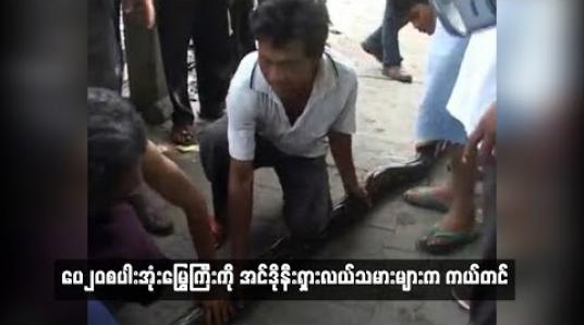 Embedded thumbnail for ပေ၂၀စပါးအုံးမြွေကြီးကိုအင်ဒိုနီးရှားလယ်သမားများက ကယ်တင်